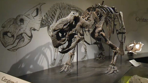 New funding for dinosaur museum in Drumheller - CTV News