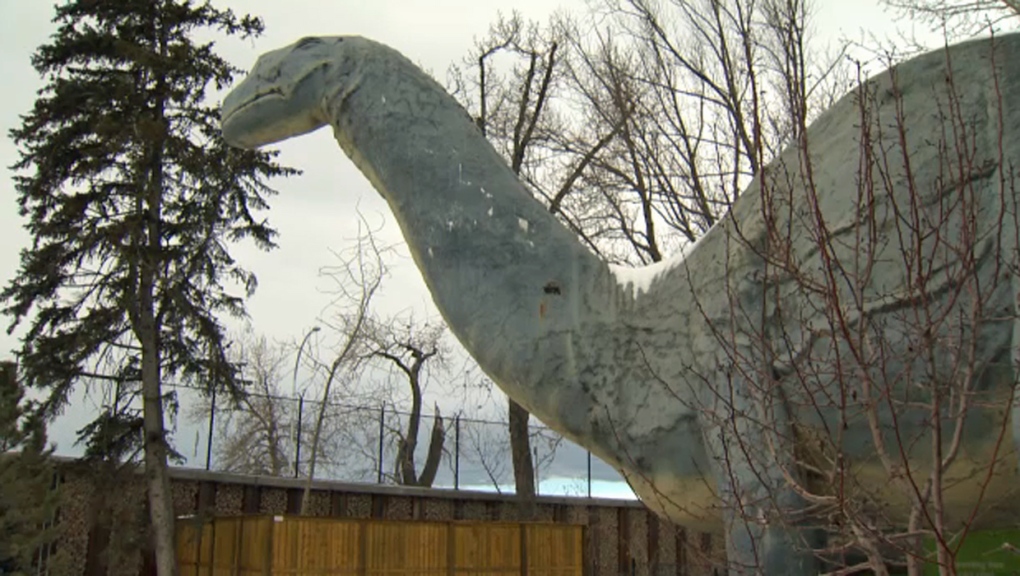 The Calgary Zoo's Dinny the Dinosaur had his neck and leg reinforced as part of a repair effort estimated to cost $200K