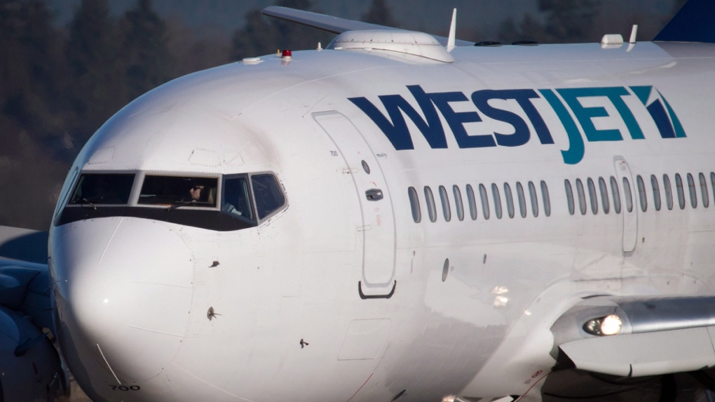 A pilot taxis a Westjet Boeing 737-700 plane to a gate after arriving at Vancouver International Airport in Richmond, B.C., on February 3, 2014. THE CANADIAN PRESS/Darryl Dyck