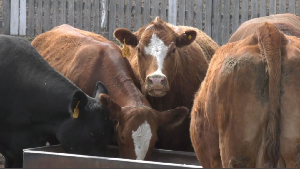 Livestock producers get financial help