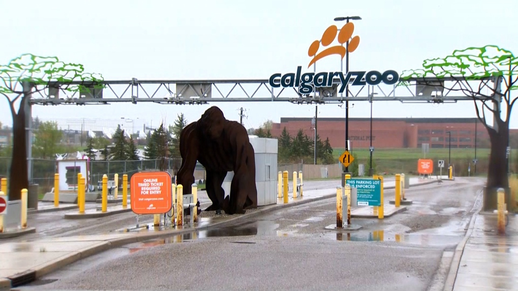 Calgary Zoo parking lot entrance. (file)