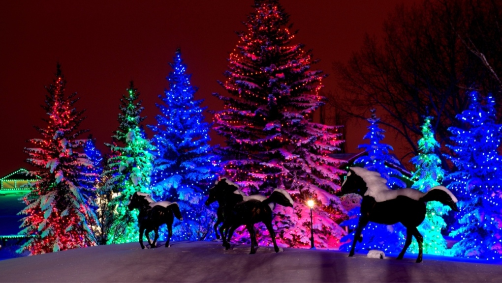 10 Calgary Christmas events to get you in the holiday mood CTV News