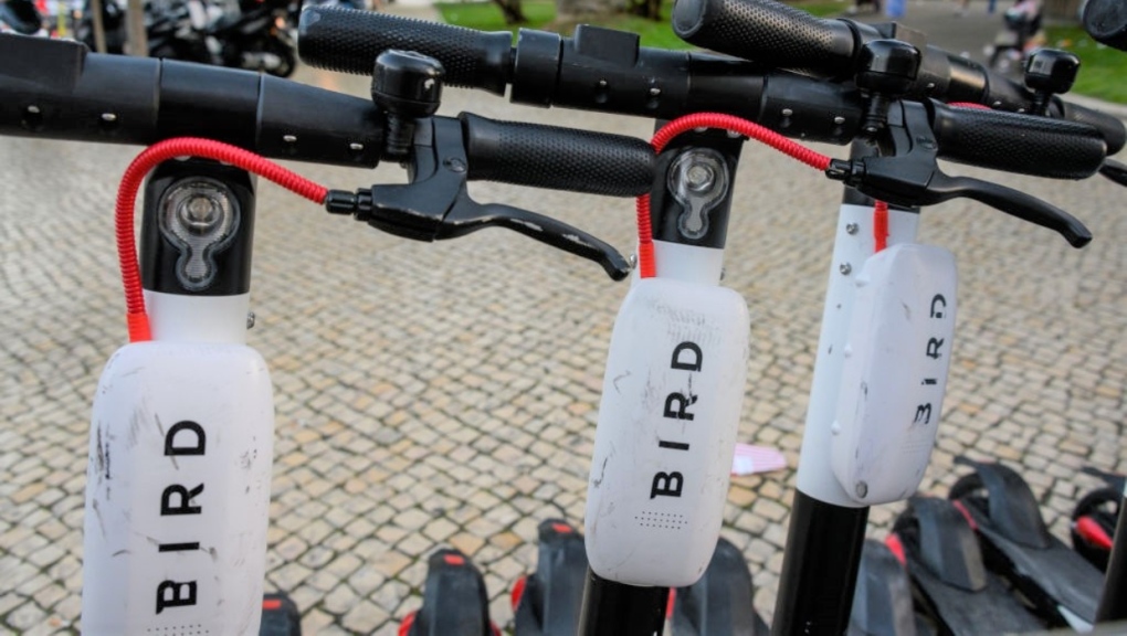 Bird e-scooters sit parked in this stock photo. (Photo by Horacio Villalobos - Corbis/Corbis via Getty Images)