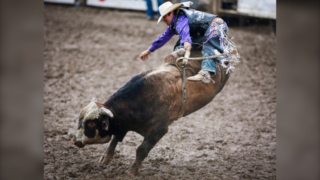 Calgary Stampede rodeo