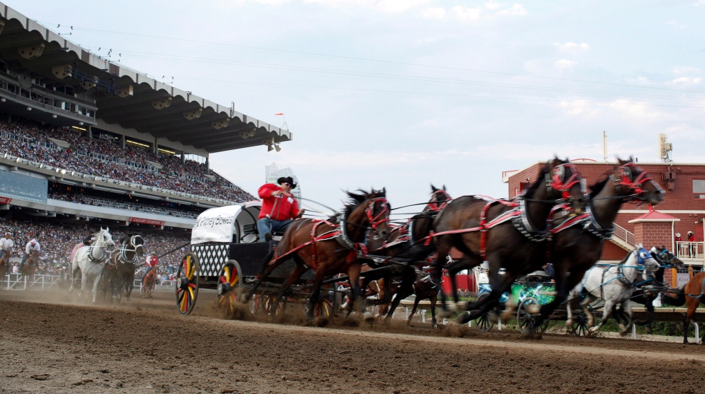 The Rangeland Derby at the Calgary Stampede. (File: THE CANADIAN PRESS/Jeff McIntosh)