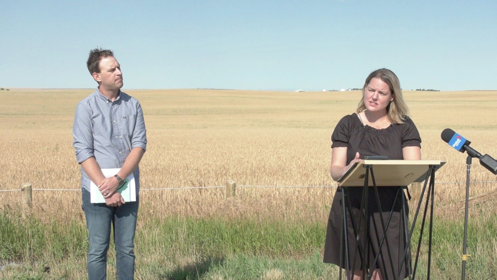 NDP agriculture critic Heather Sweet has been touring central and southern Alberta this week, to hear directly from farmers and ranchers about how they are being impacted by this summer’s drought.