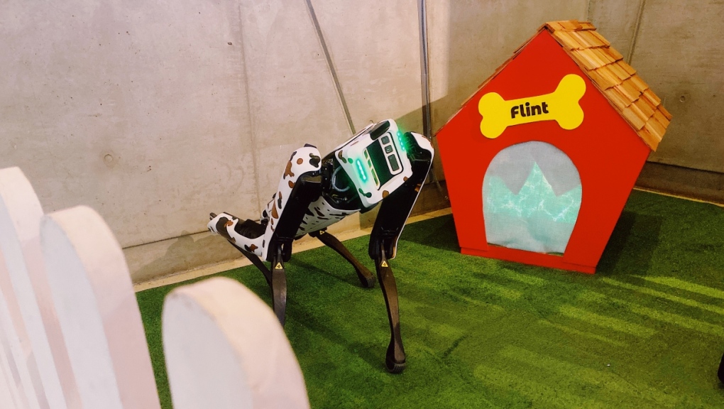 Flint the robo-pup from TELUS Spark needs a new dog house. (TELUS Spark)