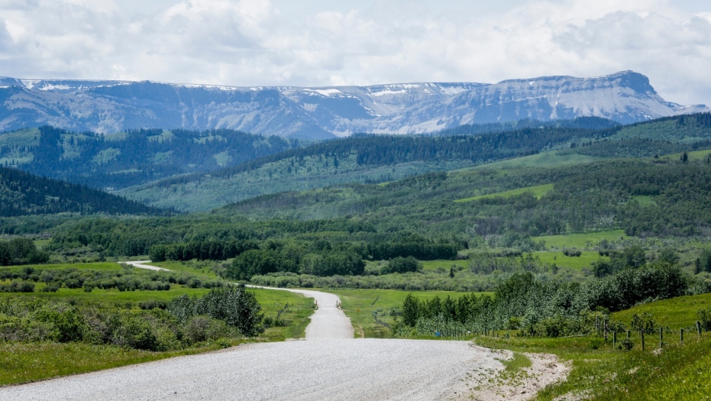 A section of the eastern slopes south west of Longview, Alta., Wednesday, June 16, 2021.(THE CANADIAN PRESS/Jeff McIntosh)