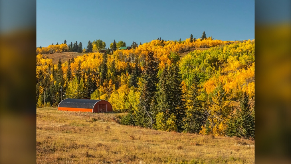 Fall in southern Alberta (courtesy viewer Jan).