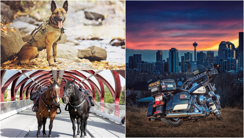 Photos from the Calgary Police Youth Foundation's 2023 Canine Calendar, Motorcycle Calendar and Mounted Calendar. (Facebook/Calgary Police Youth Foundation) 