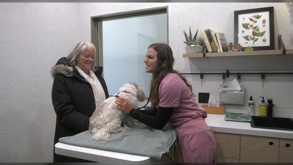Several veterinary professionals and volunteers gave their time to provide 100 per cent free pet care thanks to help from numerous sponsors who donated to the cause.