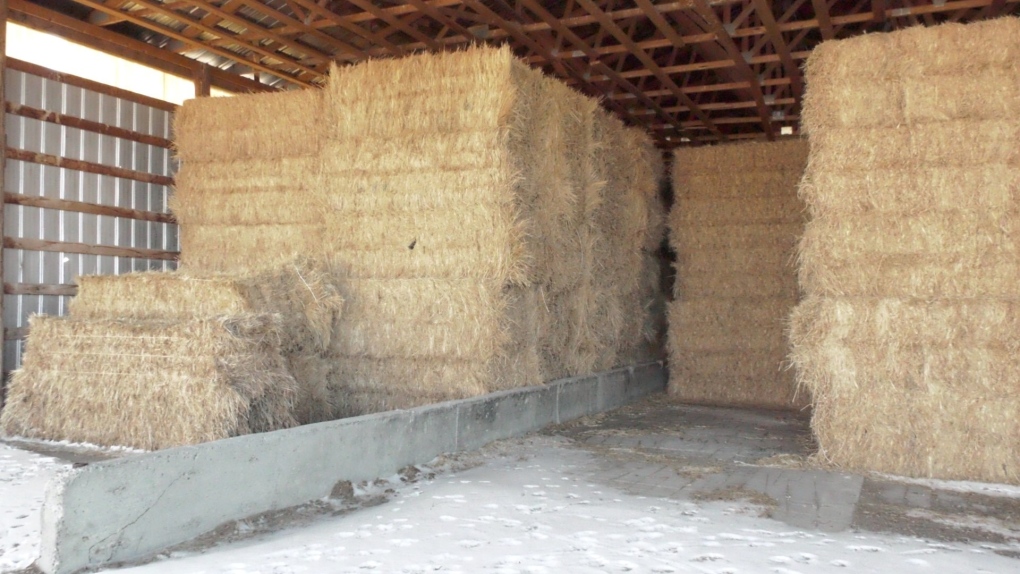 Recent years of drought have led to a shortage of hay and in turn has made farmers more desperate than ever for it. Scammers know this and have been taking full advantage.