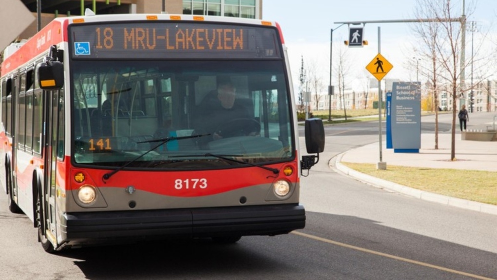 A Calgary Transit bus is shown in a stock photo. (Calgary Transit) 