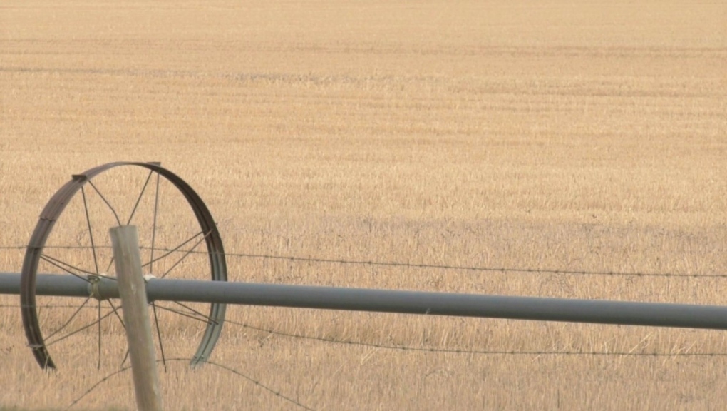 A farmer's field in Alberta is shown. 