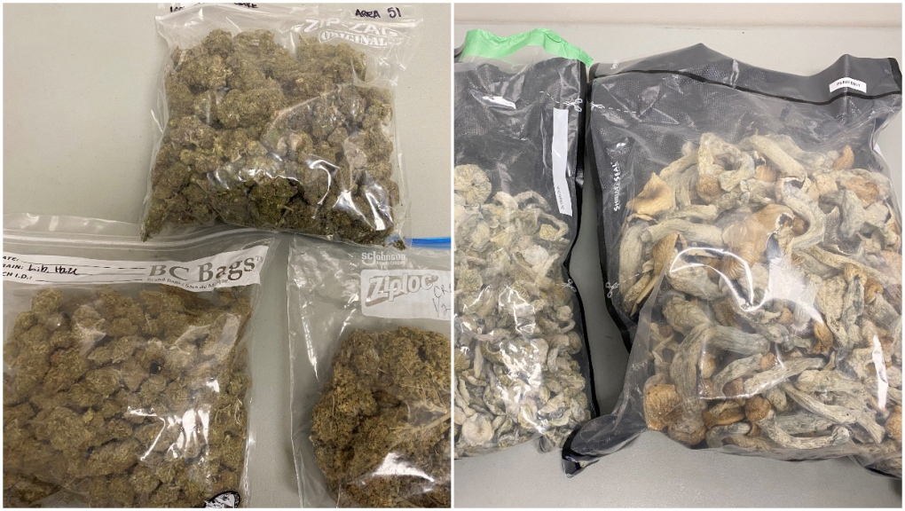 Cannabis and psilocybin seized by members of the Blood Tribe Police Service. (Blood Tribe Police Service handout)