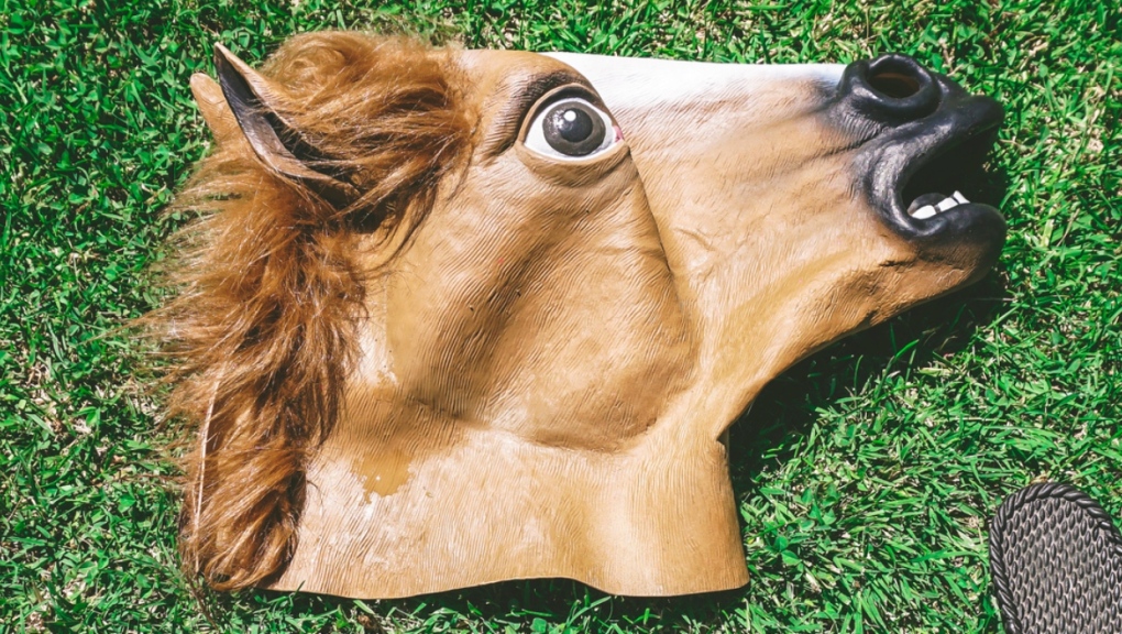 A stock photo of a horse mask. (Getty Images) 