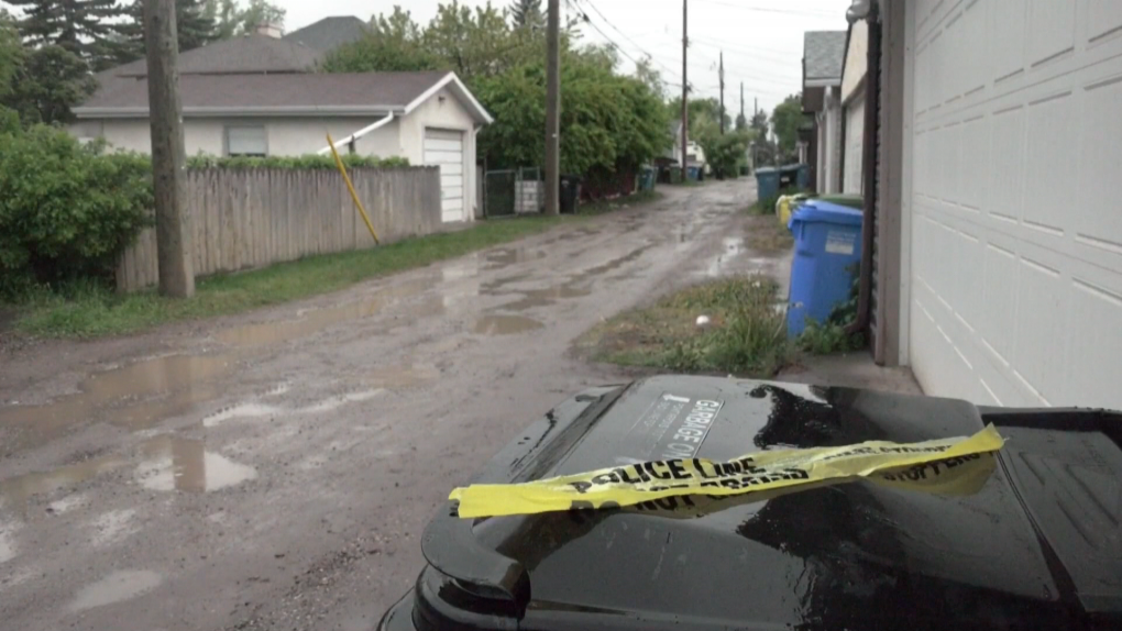 An 86-year-old woman was critically injured when three dogs attacked her in the alleyway behind her home in Calgary on June 5. The responding ambulance arrived 30 minutes after the initial 911 call.