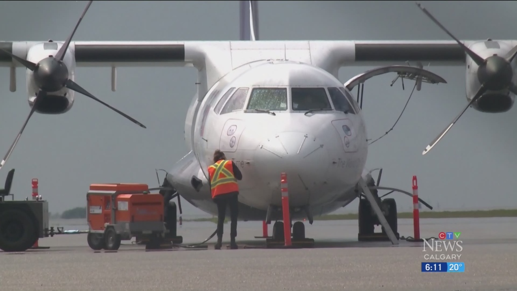 Jays fans get WestJet upgrade for wearing team gear