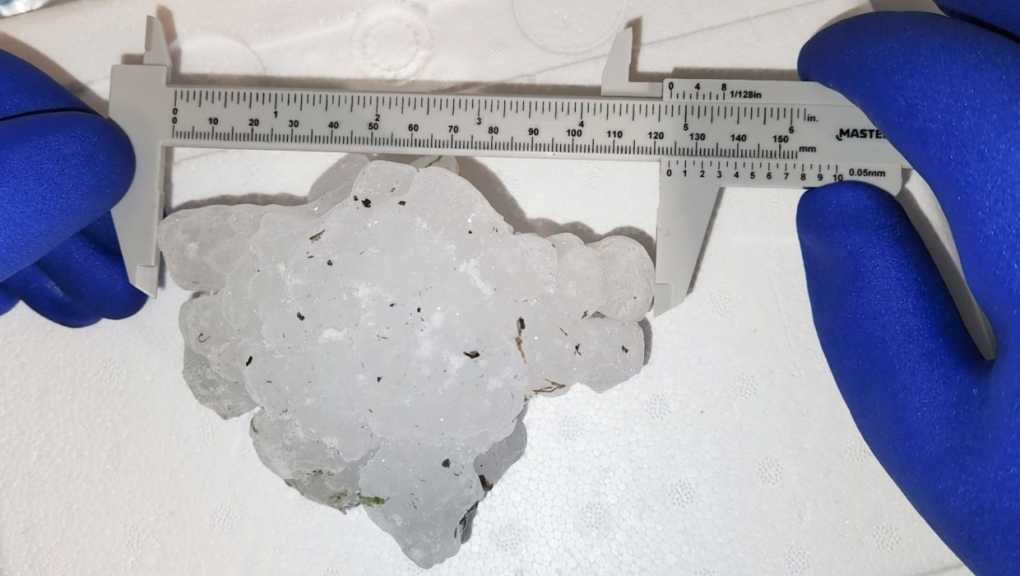 A group that researches hailstorms in Canada says a hailstone found in Markerville, Alta., Monday weighs a record-breaking 293 grams. (Twitter/Northern Hail Project)