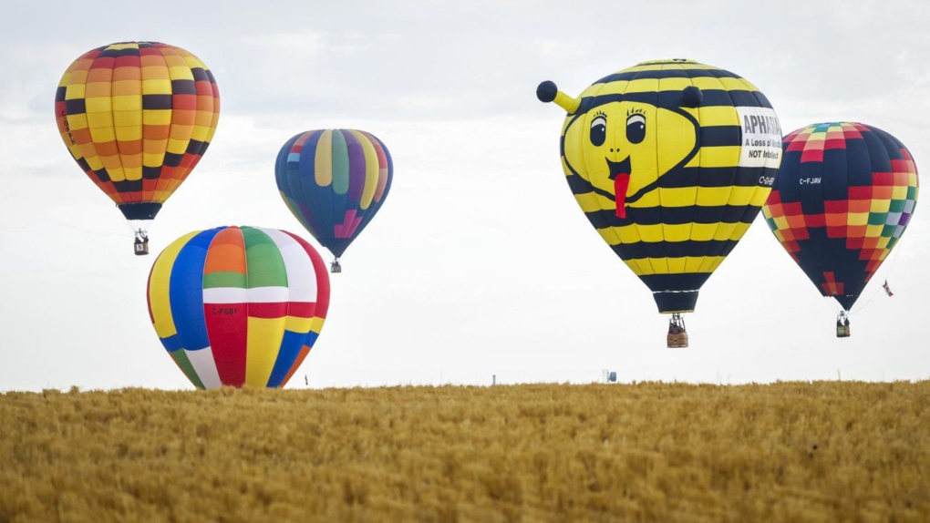 Hot-air balloons soar over fields during the Heritage Inn International Balloon Festival near High River, Alta., Thursday, Sept. 22, 2022. THE CANADIAN PRESS/Jeff McIntosh
