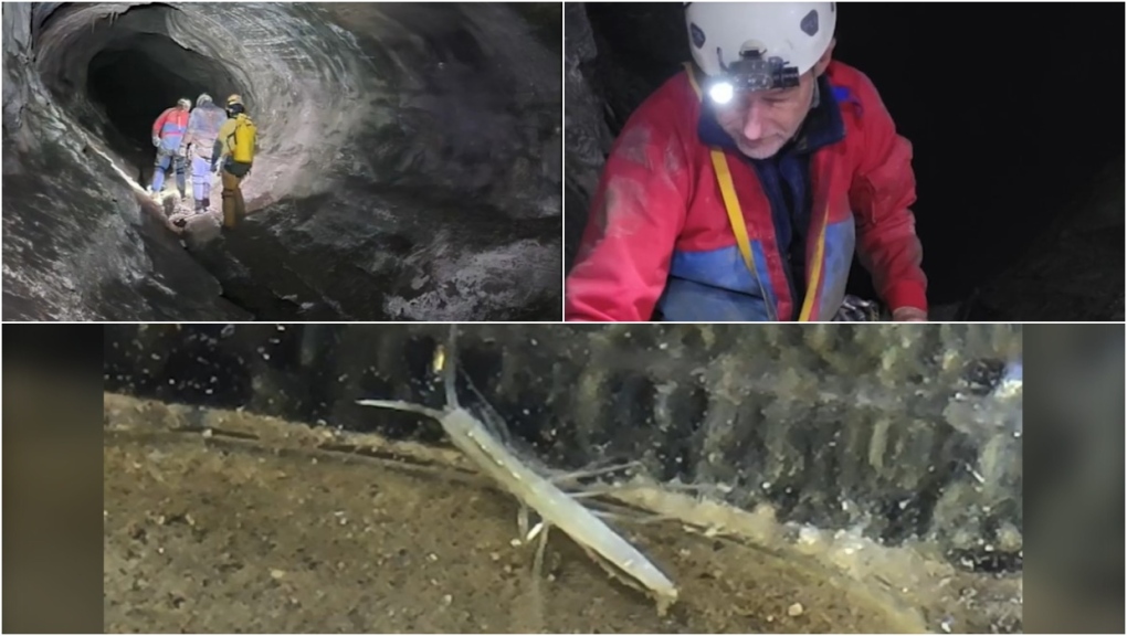 A cave in Banff National Park has been recognized as a globally significant Key Biodiversity Area (KBA) thanks to the freshwater amphipod crustacean found inside. (KBA program) 