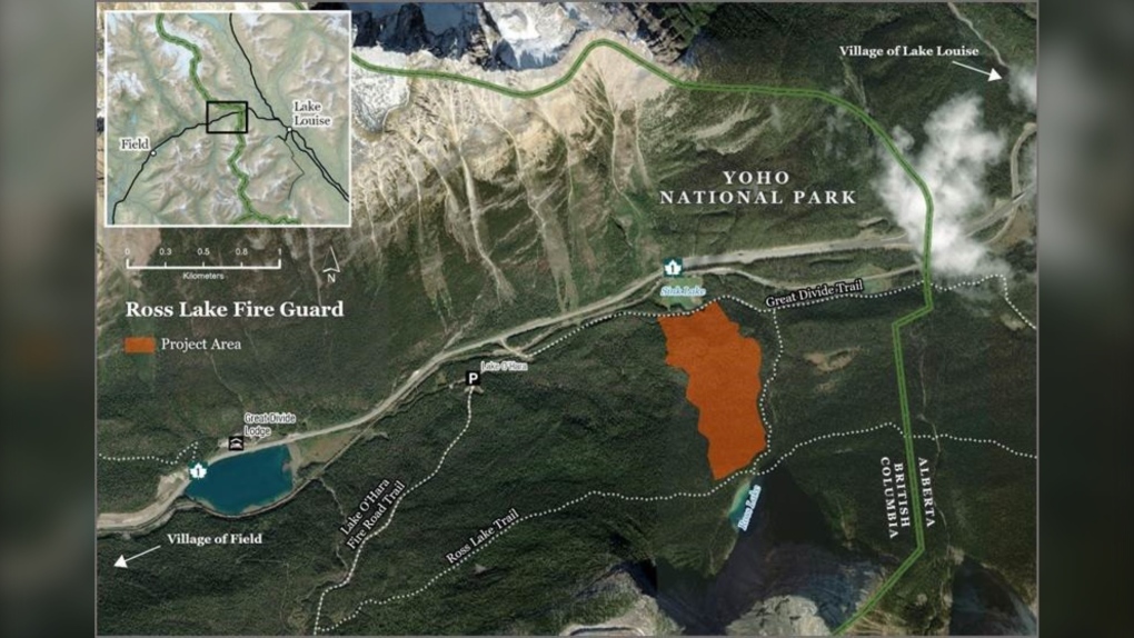 A fire guard is being built near Ross Lake in B.C.'s Yoho National Park, Parks Canada says. Once its done, it will help protect Lake Louise and Field. (Supplied)