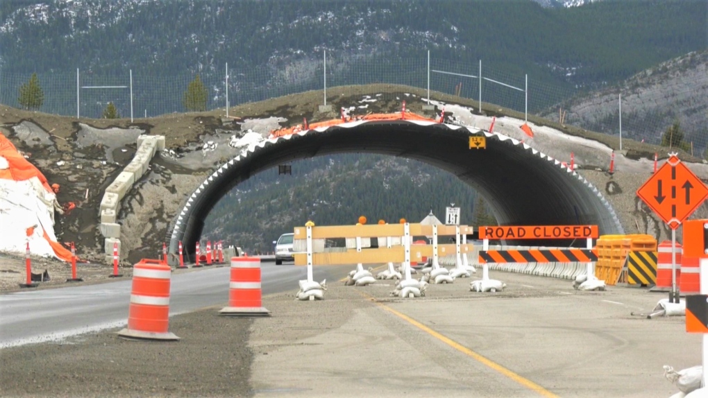 The construction of a wildlife overpass along the Trans-Canada Highway outside of Banff National Park has been delayed.
