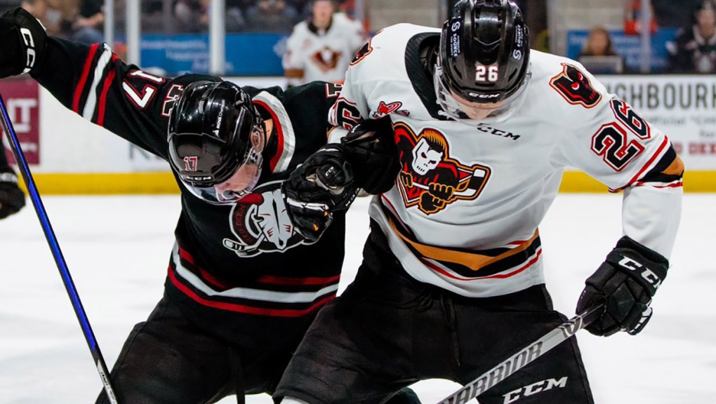 The Calgary Hitmen in action against the Rebels Friday night in Red Deer  (Photo: Twitter@WHLHitmen)