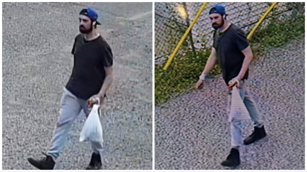 Lethbridge Police Seek Suspect In Multiple Arsons | CTV News