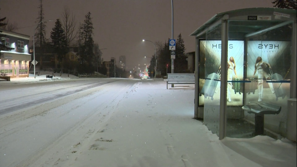 Calgary weather Snow still falling in the city, 10 cm expected CTV News