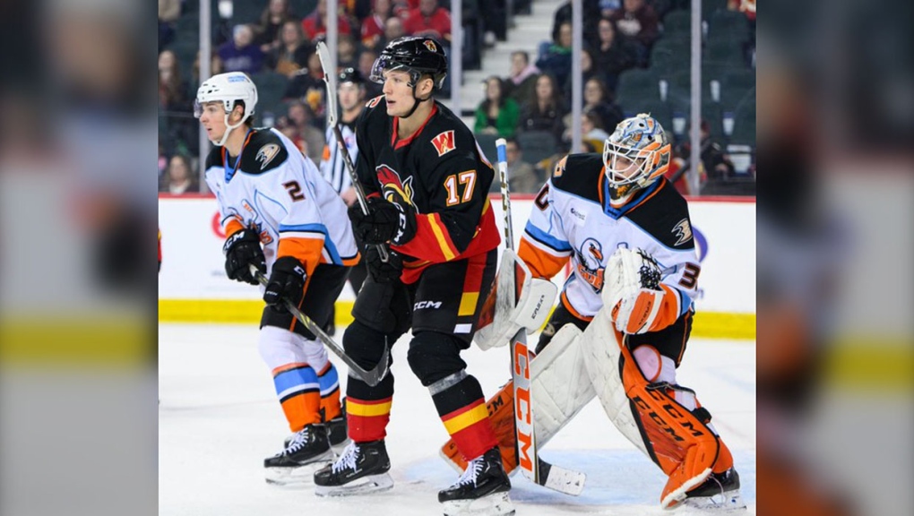 The Calgary Wranglers in action against the San Diego Gulls Saturday at the Saddledome. (Photo: X@AHLGulls)