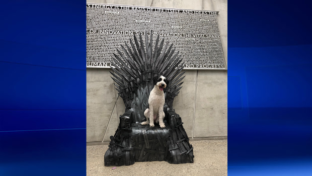Game of Thrones, fire-breathing dragon, TELUS Spa