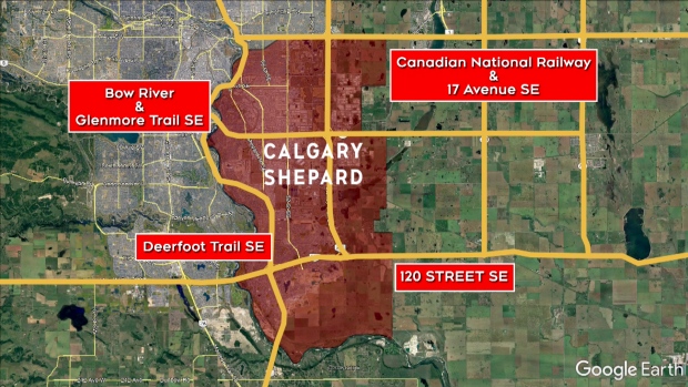 Calgary Shepard