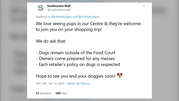 Southcentre Mall, dogs, mall, shopping centre