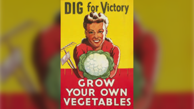 Victory garden poster