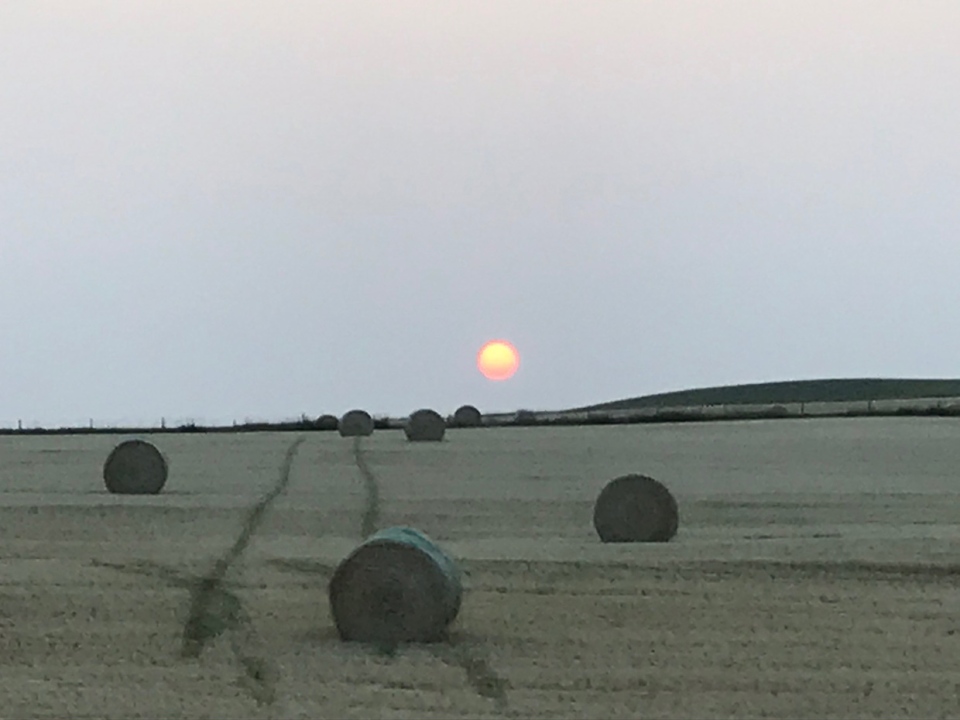 Alberta, sunset, Bonnie