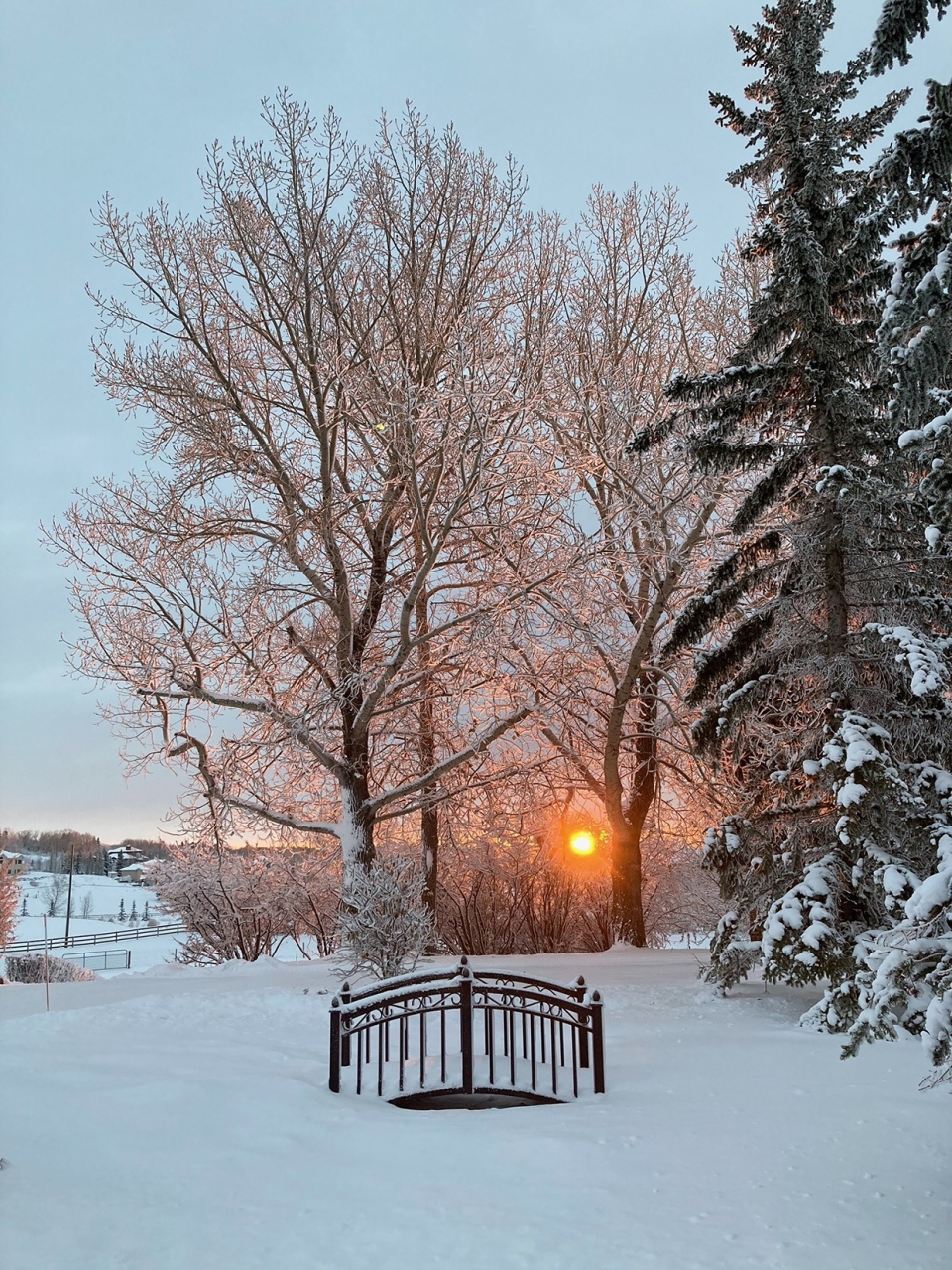 Calgary, winter, sunrise, Lynda