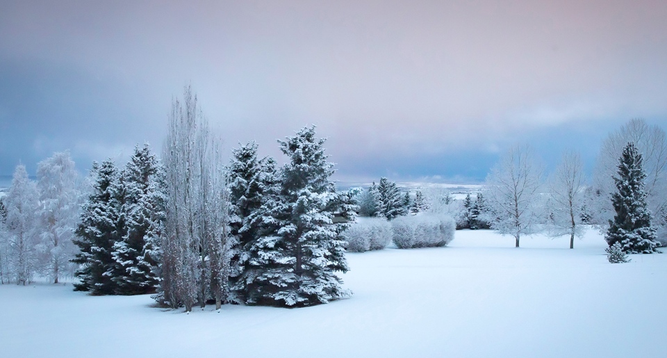 Calgary, winter, Audrey