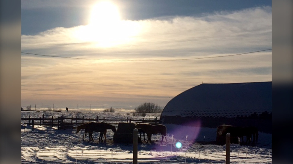 Calgary weather Shelley E