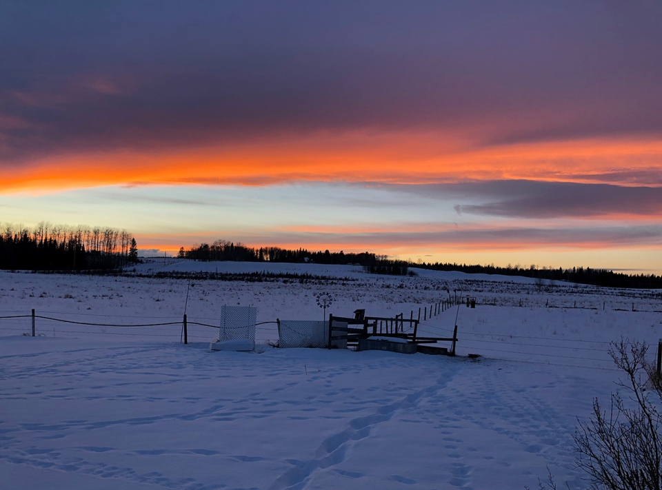 sunset, Alberta, Betty