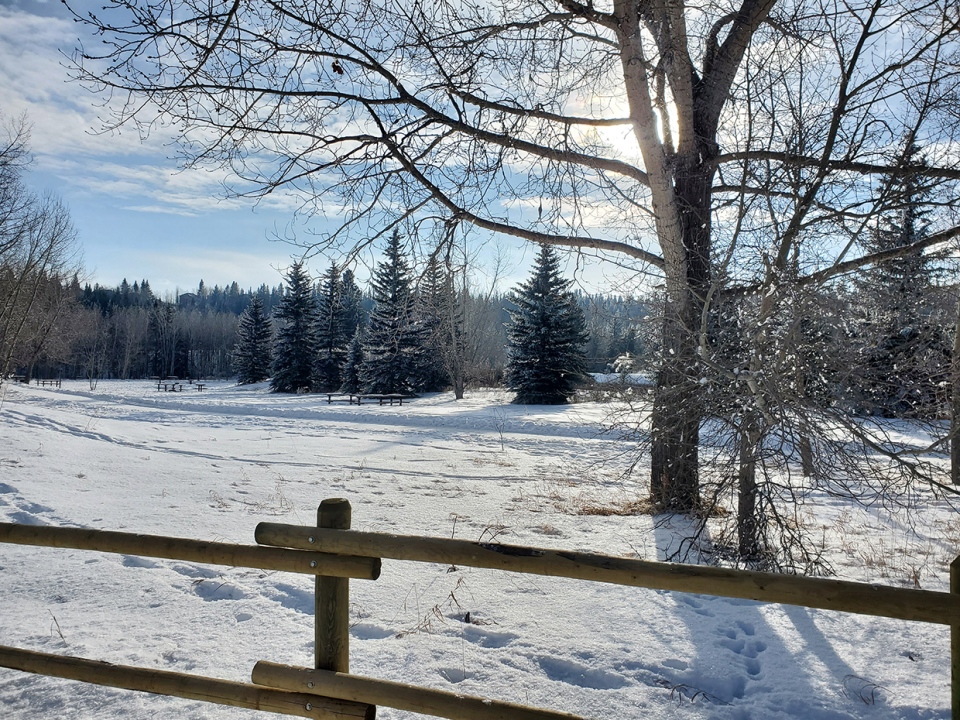 Calgary, winter, Cooke,