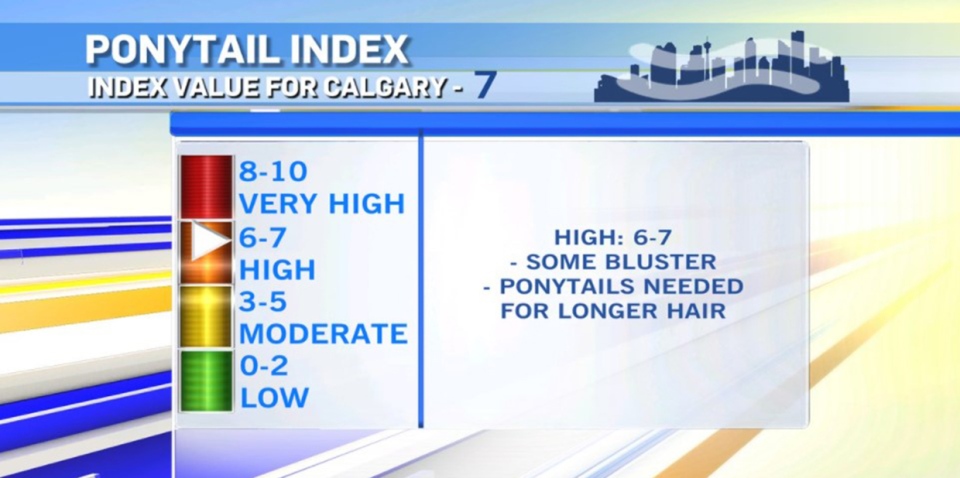 Calgary, ponytail index, Feb. 25