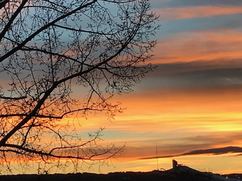 Montgomery, sunset, Calgary, Susan