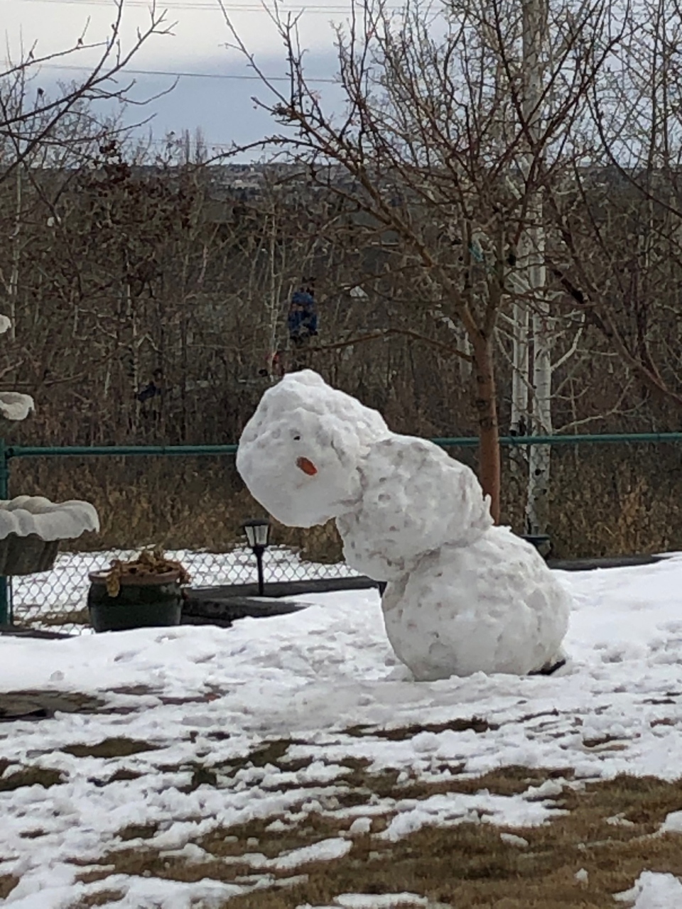 Leaning Tower of Snowman, Calgary, Deb