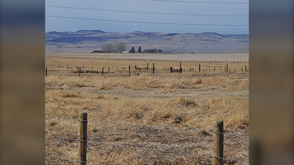 calgary, evacuation, fire, grass fire, wildfire, o