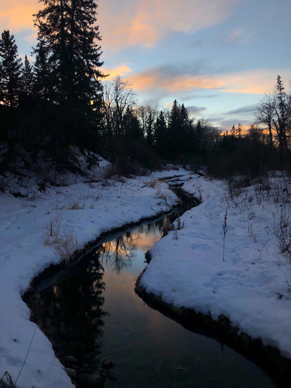 Calgary, sunrise, creek, Natasha