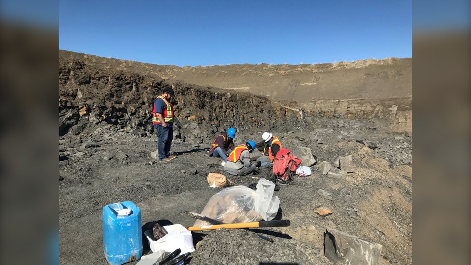 workers, mine, ammonite, plesiosaur