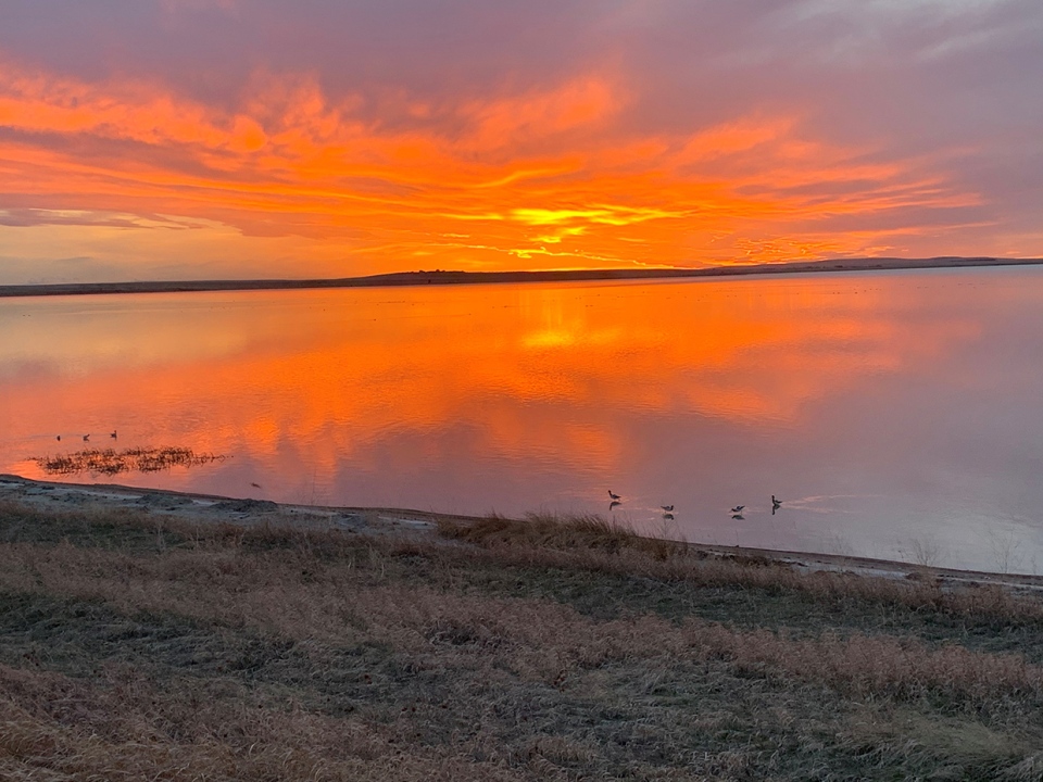 Dead Horse Lake, Pam, sunset, Alberta
