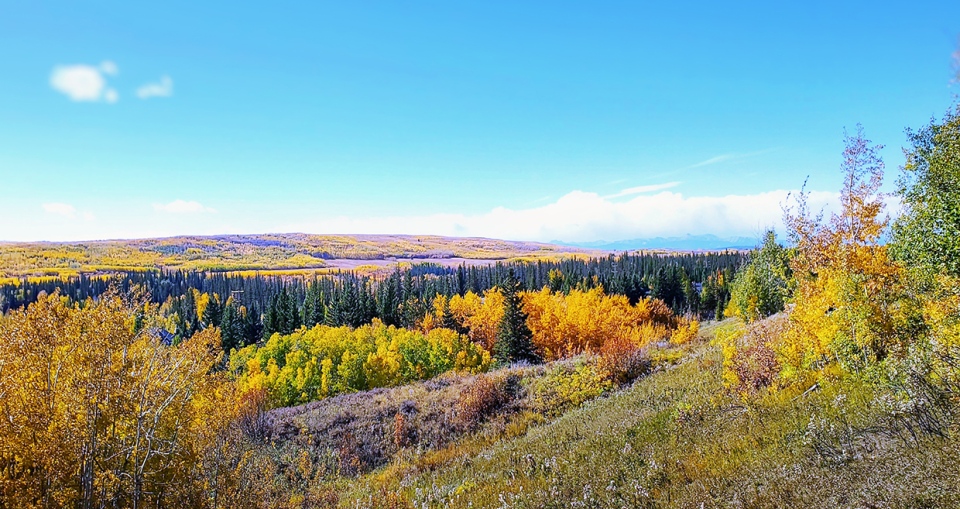 Elbow River Valley, southern Alberta, fall, Dwight