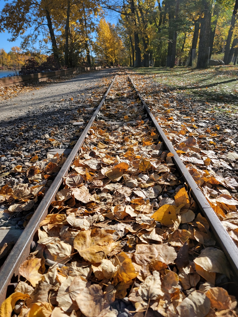 Bowness Park, train, tracks, viewer Ulla